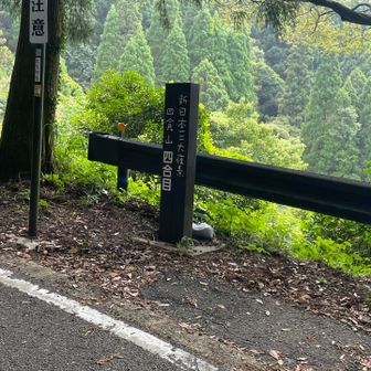 4合目