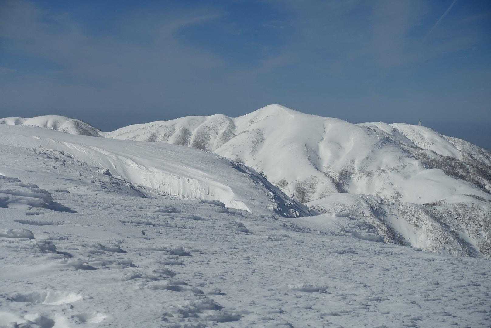 部子山までは行けないので眺めるに徹するw