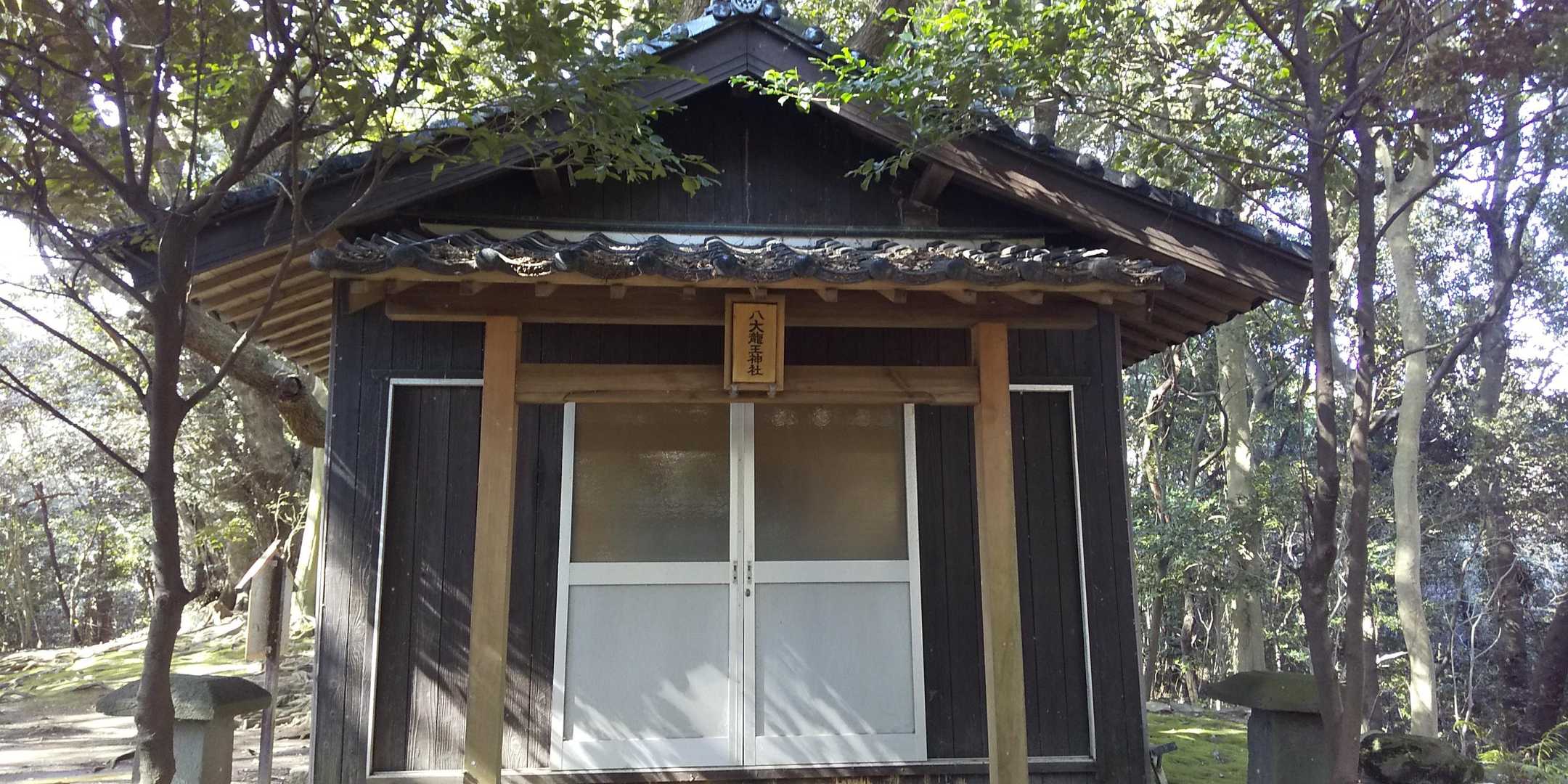 南峰-竜王山 縦走コースの写真
