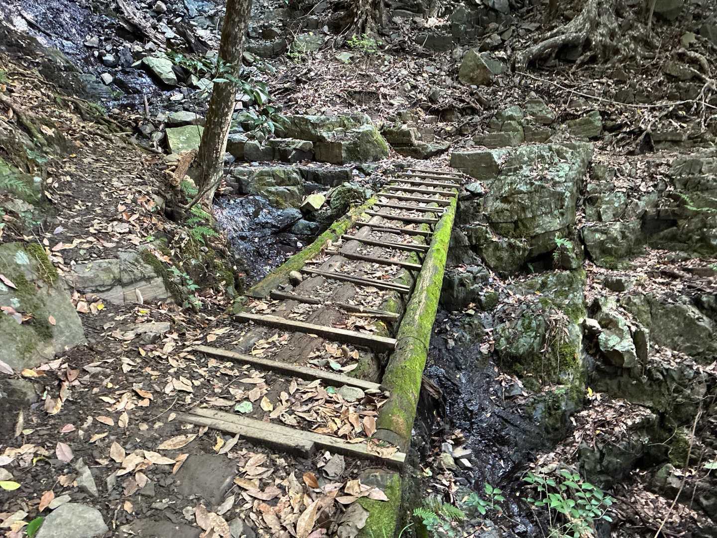 杉山橋