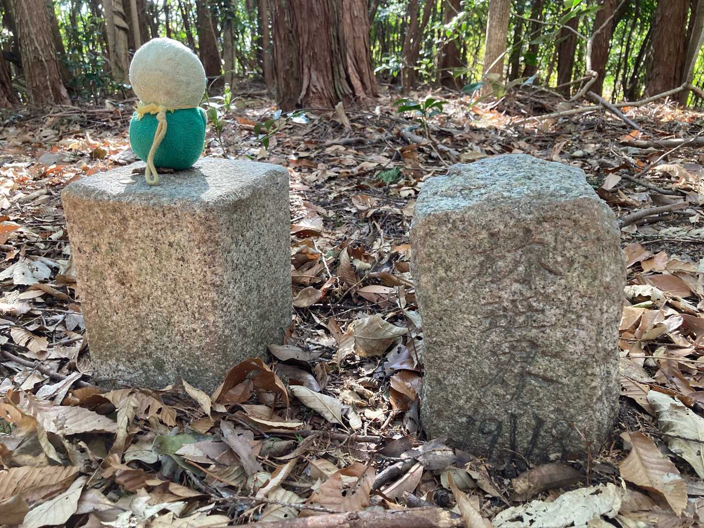 ん～、「界」しか読めない😰