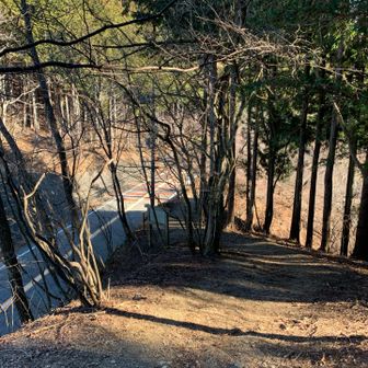 無事下山。
お疲れ山でした。