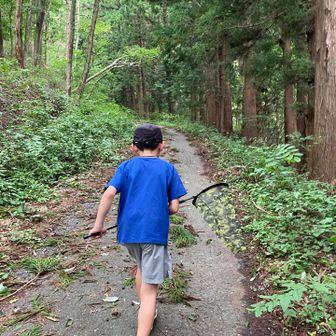 本日、子どもたちは虫探しメインのようで、虫編み片手に出陣✊目標はオニヤンマだそう…