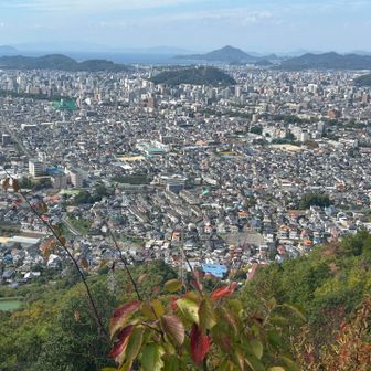 興居島の小富士が奥に見えますね