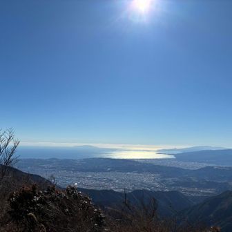 相模湾を望む。