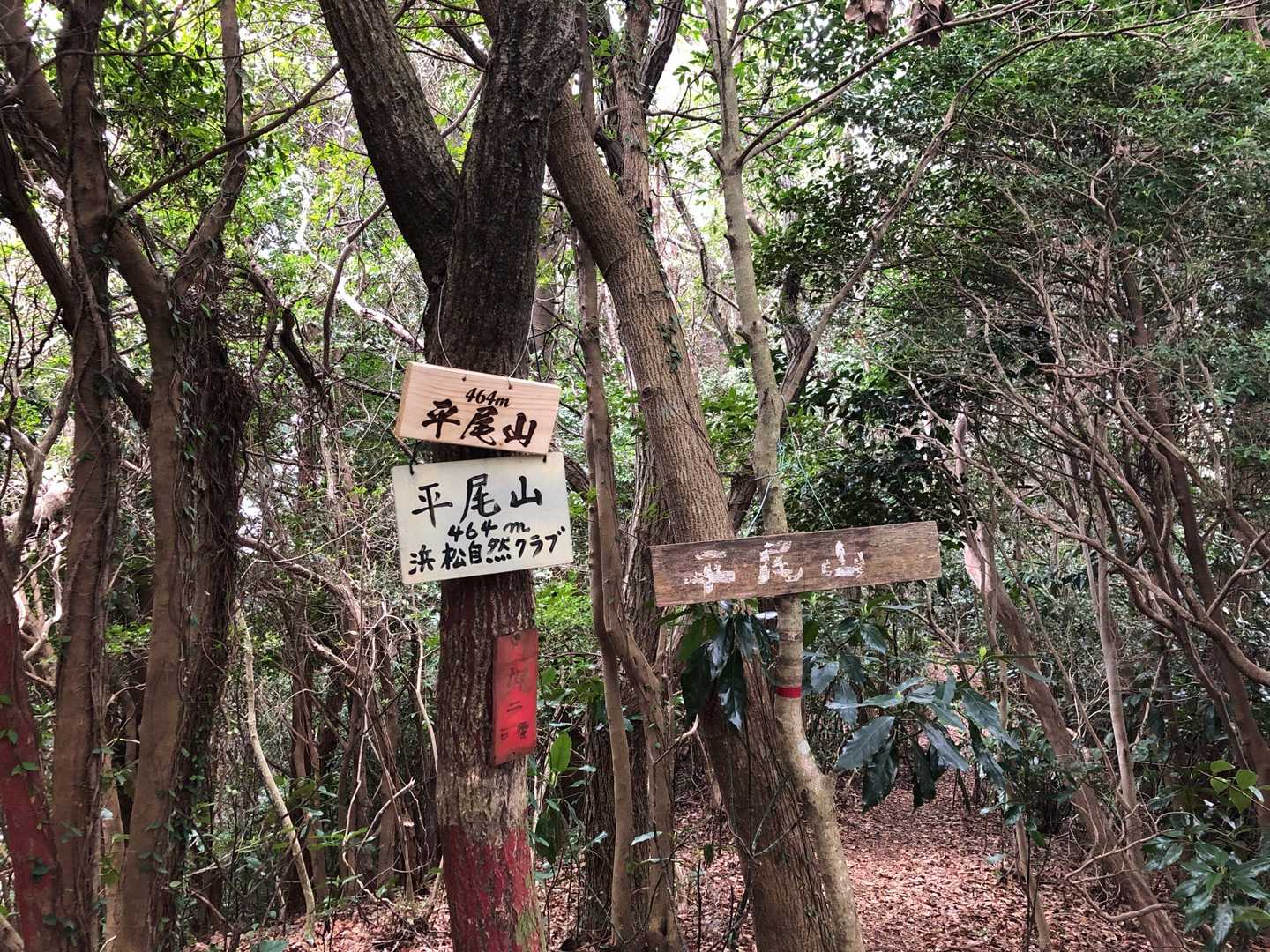看板たくさん😆 新しいのがカッコいい✨
