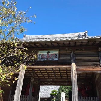 福満寺にて終了。
なまちゃん、カービィ君、再会まで少しお待ちを😊