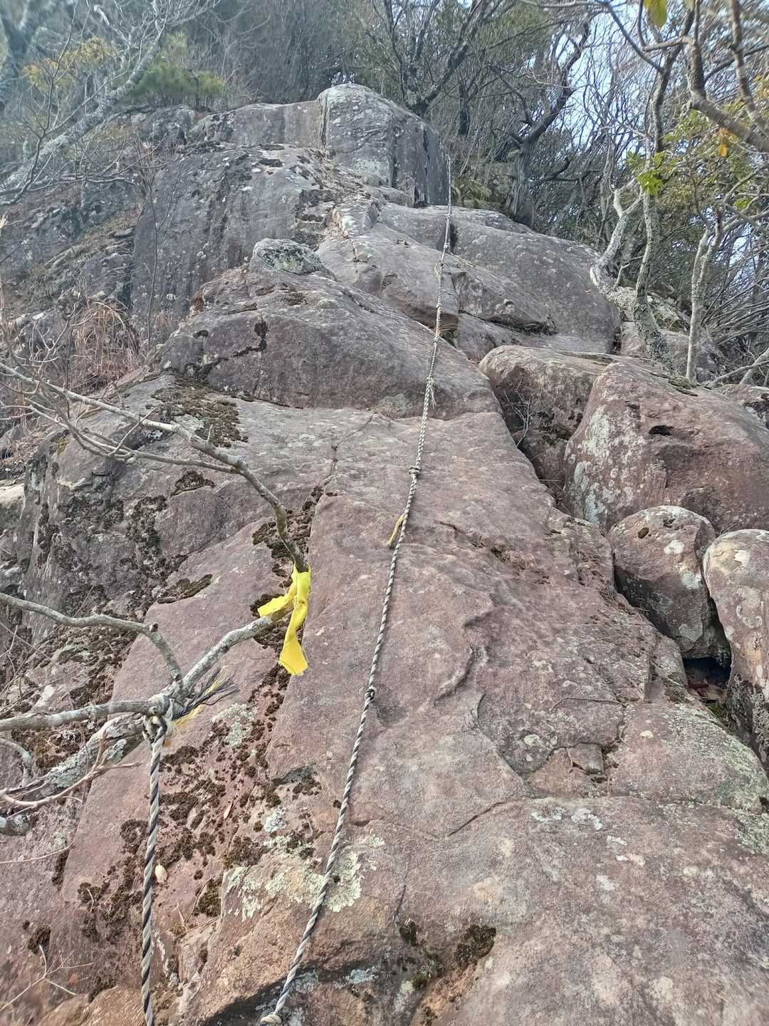 ロッククライミングもどき