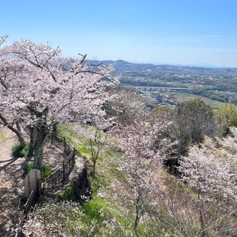 展望台からの眺め④