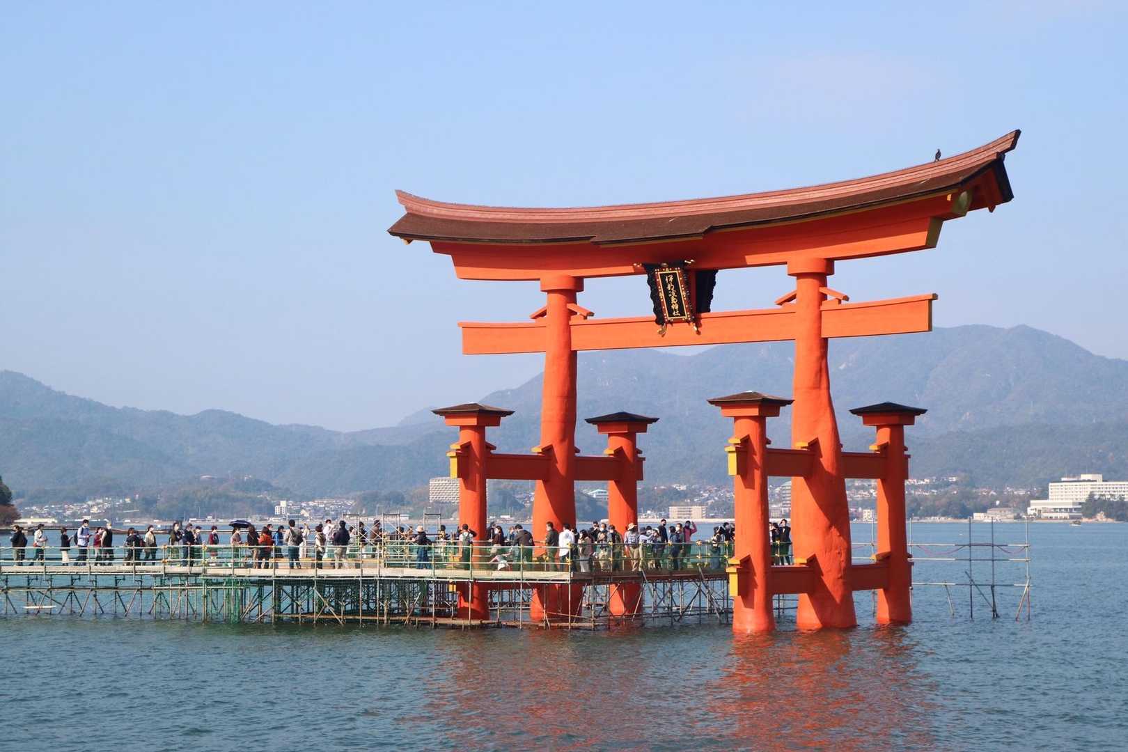お久しぶりです⛩✨