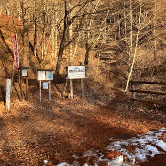 淺間隠山登山口に到着です。ここから穏やかに登り始めます。