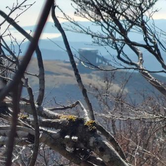 駒ヶ岳のロープウェイが樹々の隙間から見えます。