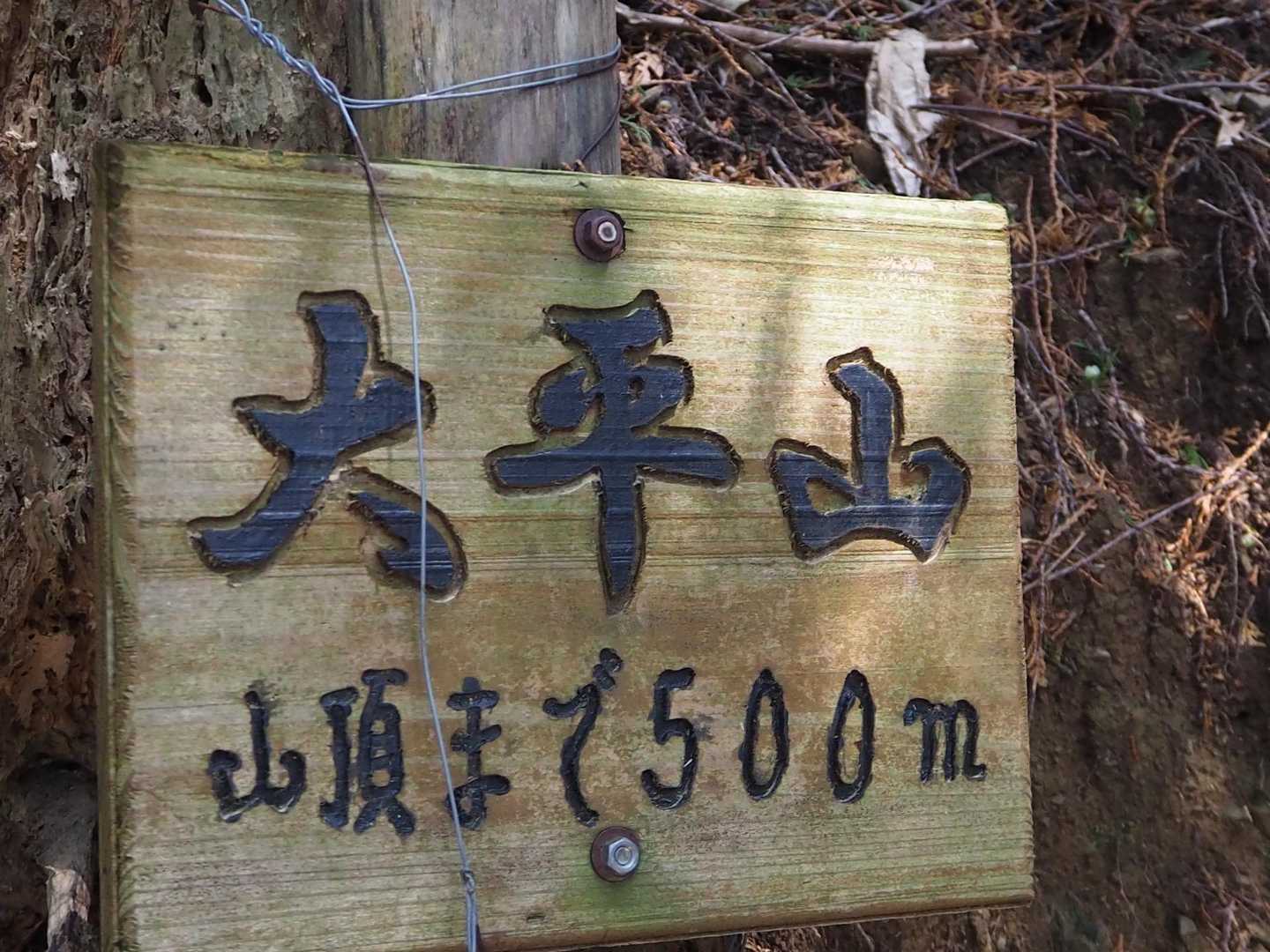後少しよ〜
心拍あがっとるってウォッチ見てる⌚️