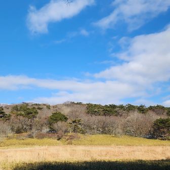 竜神平でも、みなさんゆっくり昼食タイム🍱