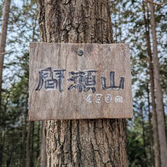 間瀬山に到着。眺望はほぼなし。