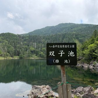 雄池は、ロープが貼ってありヘリまで。看板の後ろは大岳。