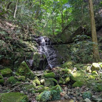 提谷はかなり道が急な箇所もあり、難儀した。修行感が出てきた