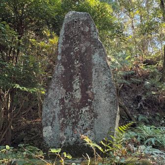 夜は花の上に音あり山の水
と彫ってあるらしい
「あ」しからわからんかった