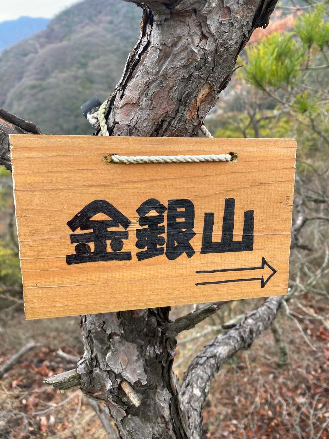 金銀山へ、、