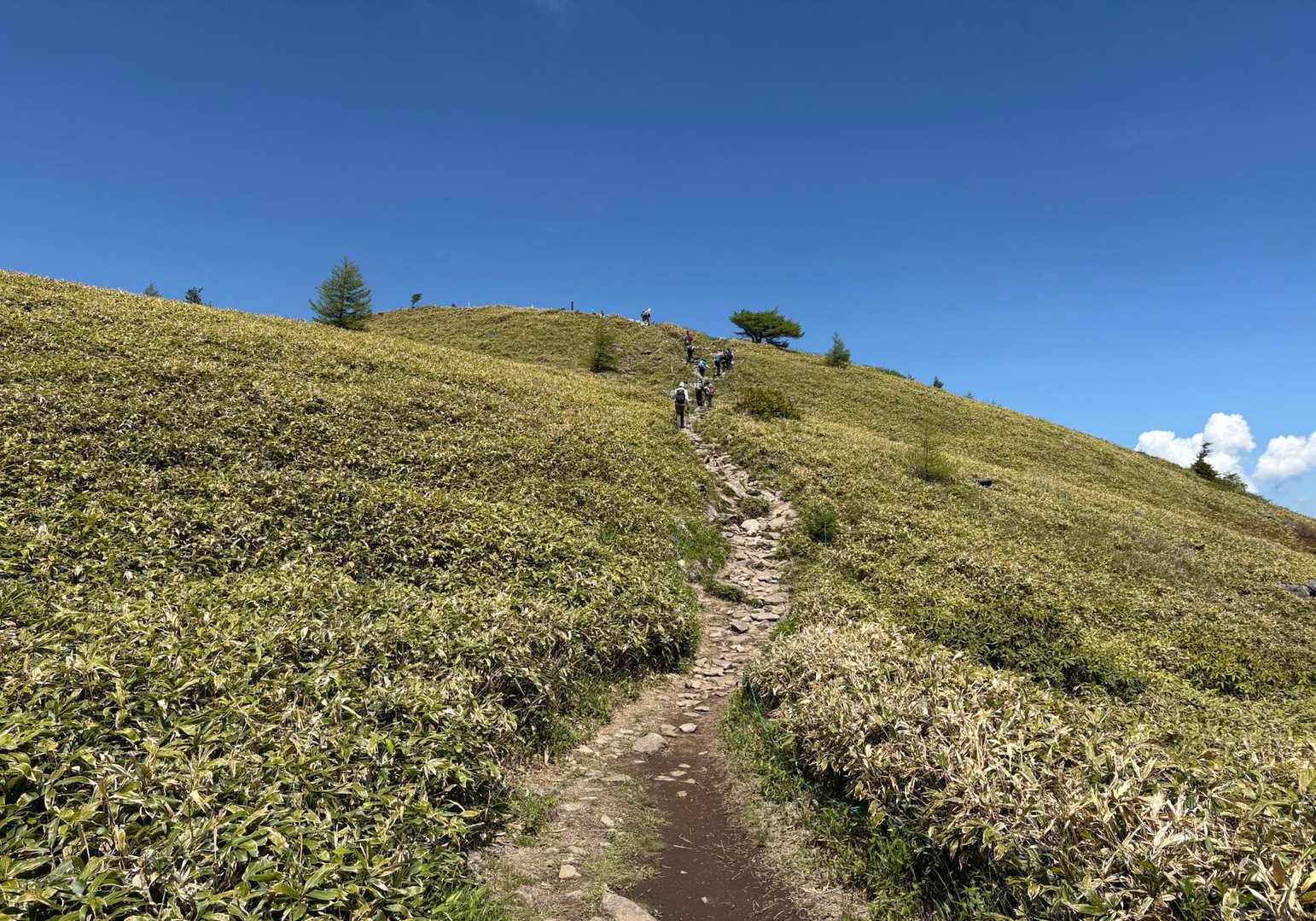 地蔵峠-湯ノ丸山-烏帽子岳登山口 縦走コースの写真