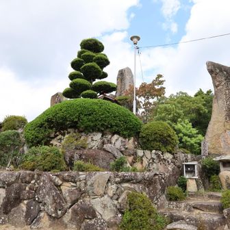 たぶん龍王山 山頂  🙄