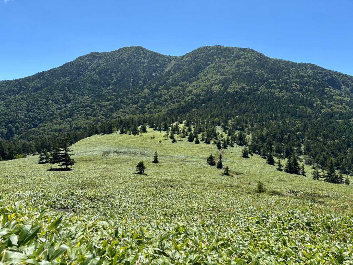 登って来た、四阿山💚