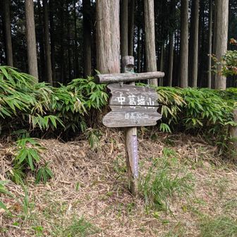 中葛城山　ここで小休憩
☕さんパイナップル🍍ありがとうございました😋