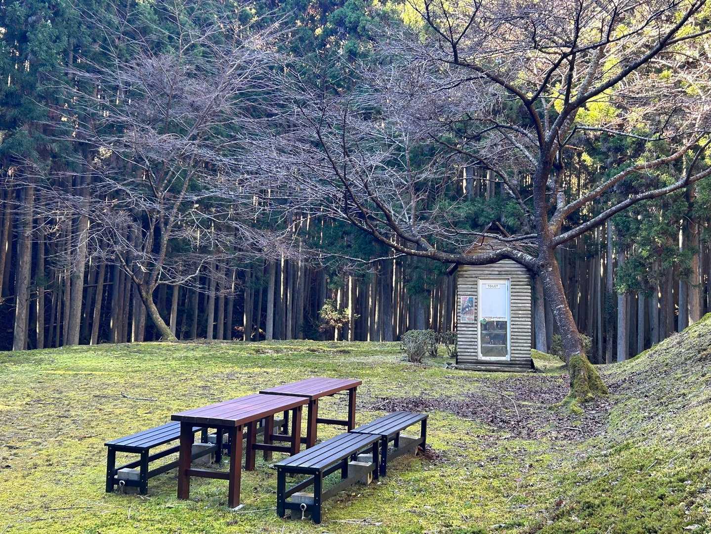 ベンチと🚻…ここで、暑くて上着脱ぎました。