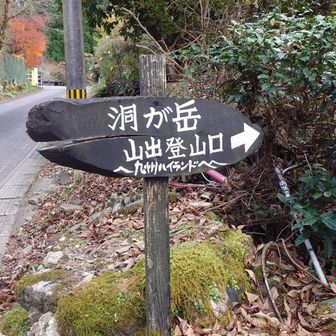 洞が岳登山口に出てきました😊