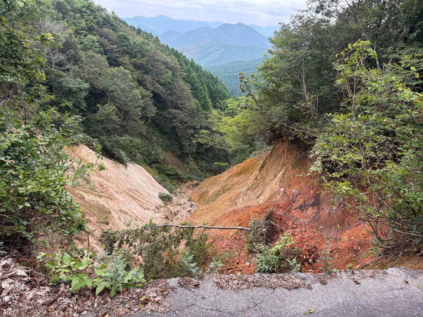 掛頭山 周回コースの写真