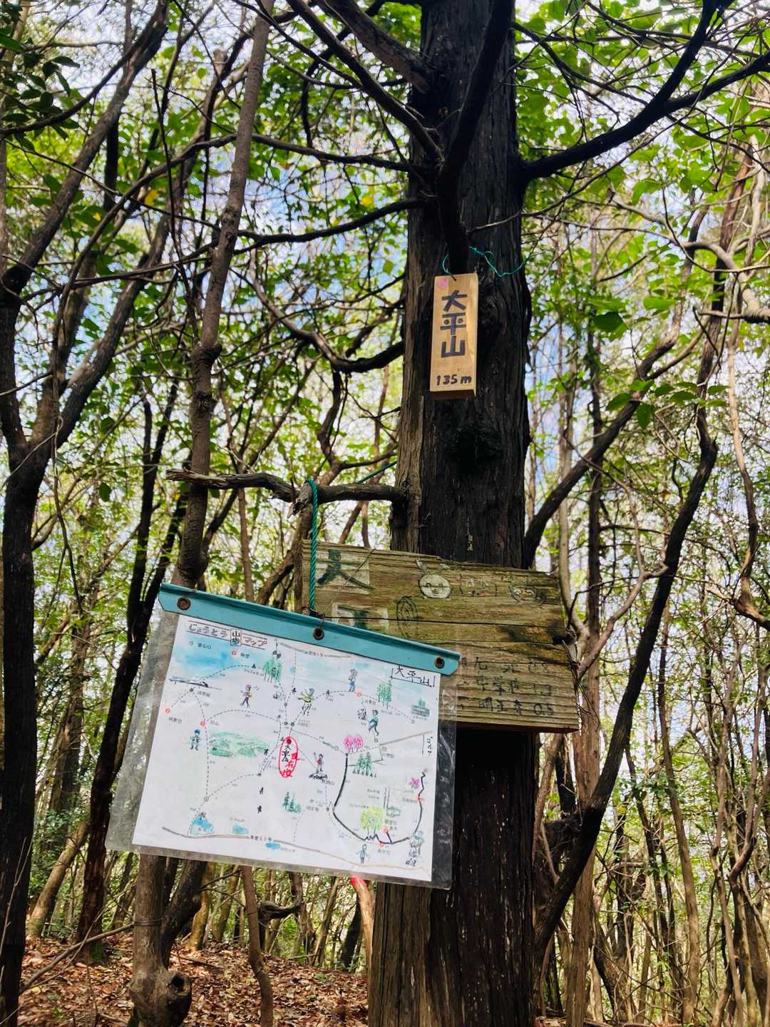 大平山