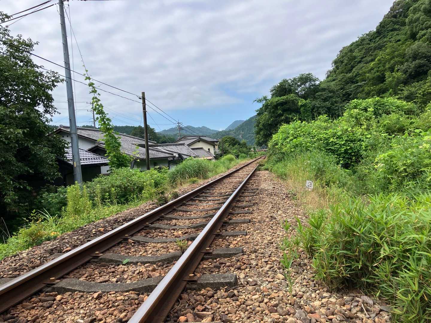 鶴形山 往復コースの写真
