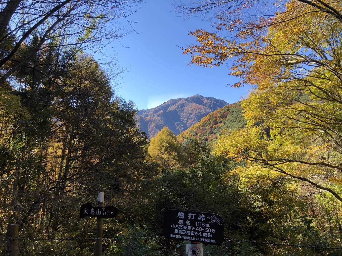 鳩打峠-小八郎岳 往復コースの写真