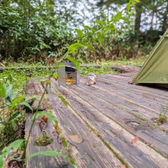 朝食🫕を頂き、
　　　テント🏕️撤収したら…下山か。。と考えると…
　心　寂　し　さ　
　　　　が湧いてきてしまうほど…
　        居 心 地 良 い テ ン 場 🏕️
と離れるのは…
　　　　　寂しいですが…
出発時間まで、
　　　　　尾瀬沼を満喫します💭

なので
　　　再び、尾瀬沼へ！！