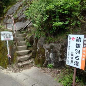 裏参道を登ります