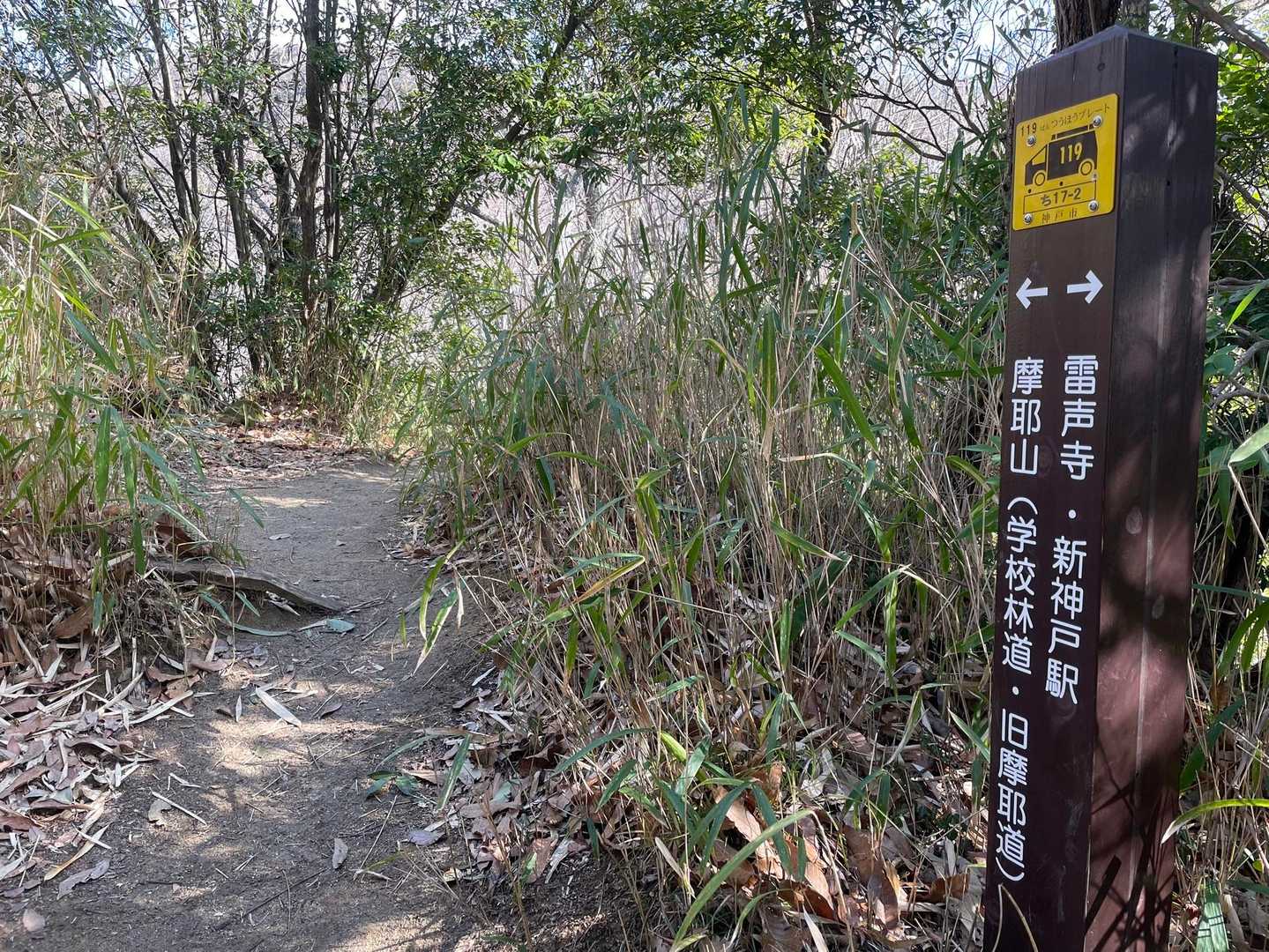 旧摩耶道は尾根道なので、最初にググッと標高を上げますが、そのほかはなだらかな道になります。