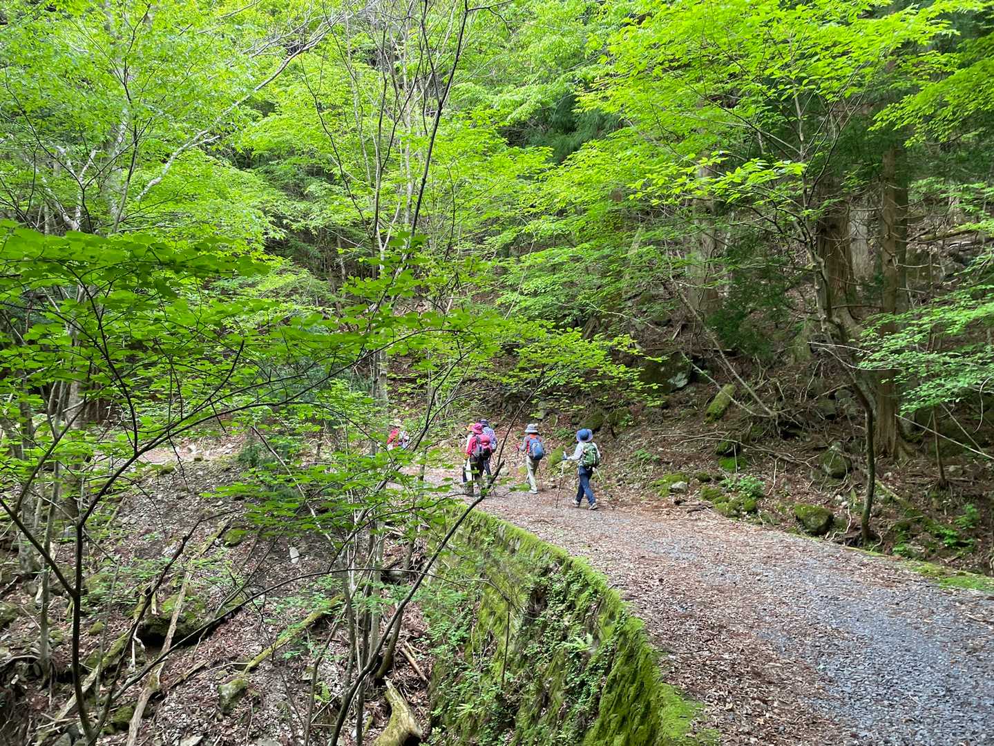 犬ヶ岳登山口-笈吊峠 往復コースの写真