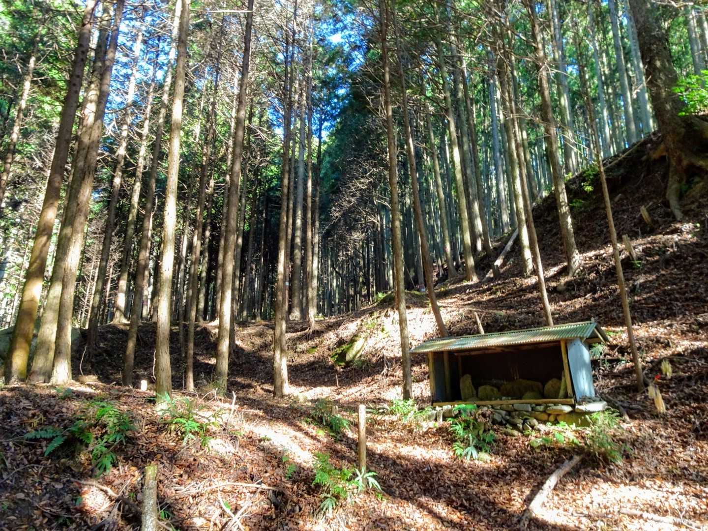 舗装路から登山道へ