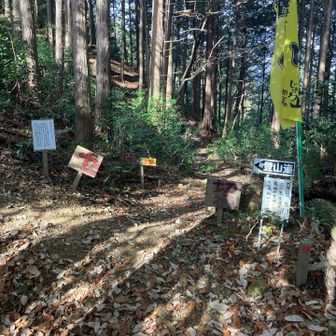 白滝方面への道には、危険⚠️の標識もあり。
だからずっと寄ってないのですが。
ただ滝まで130mなので、急坂なのかな？