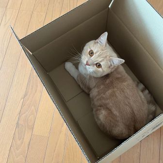 むぎまる