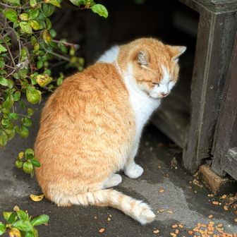 駐車場に戻る時にいたん🥰