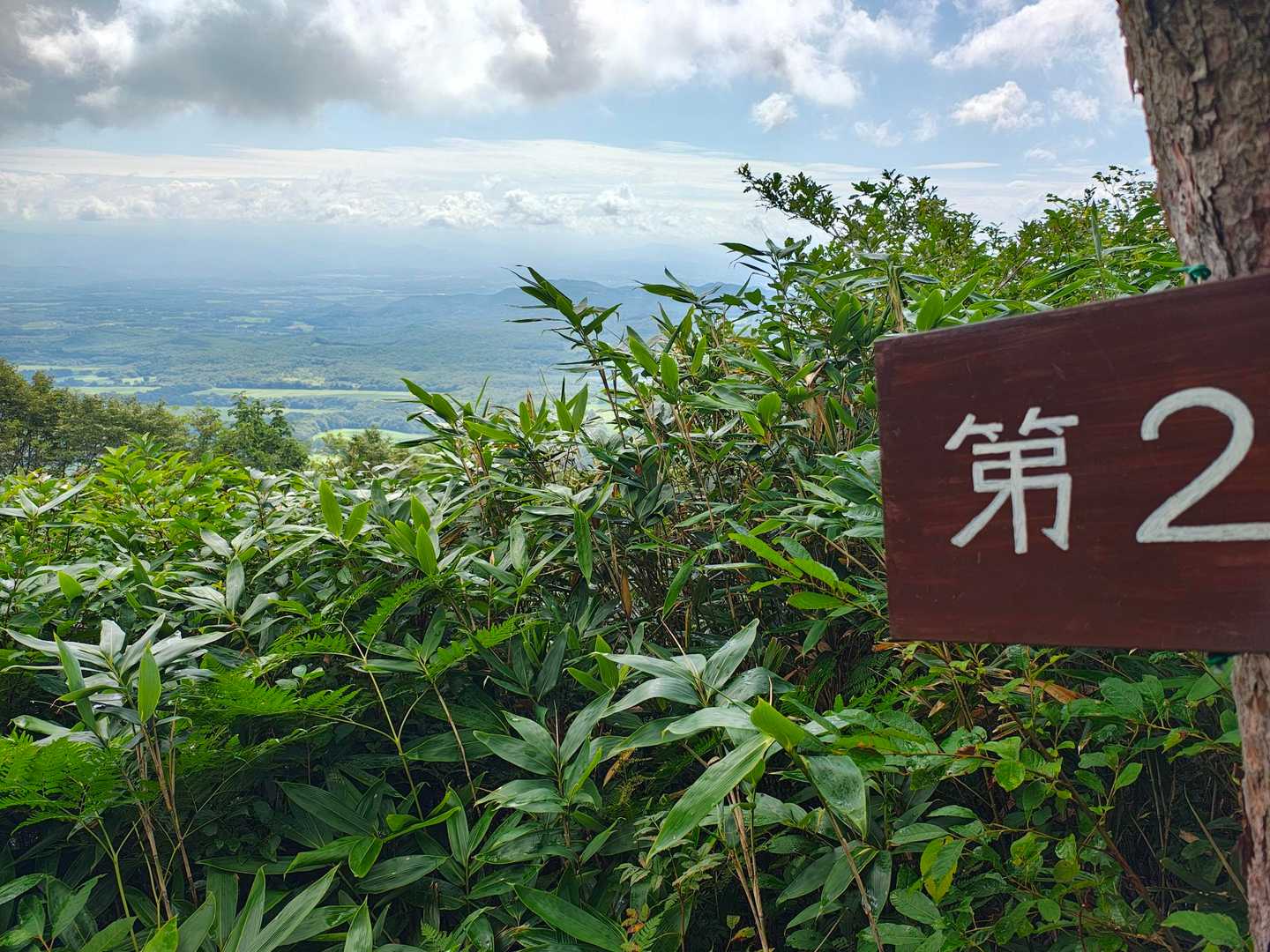 鞍掛山 往復コースの写真
