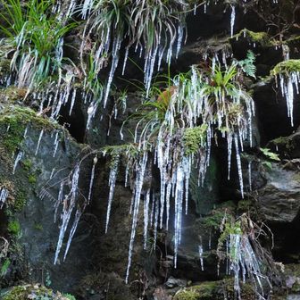 🅿️で初めましてのJunさんとご挨拶

岩には氷柱🥶の針の山
