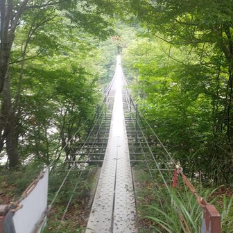 最後に恐怖の大吊り橋