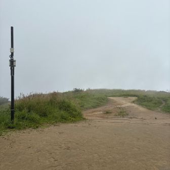 金剛山が🫥