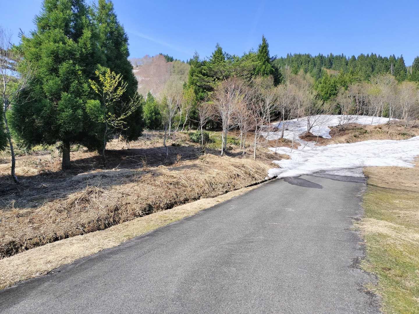 上山高原まで車は進入可能☝️
ただし、その先は…