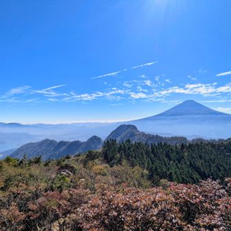 富士山の手前の尾根を歩いてきた😆