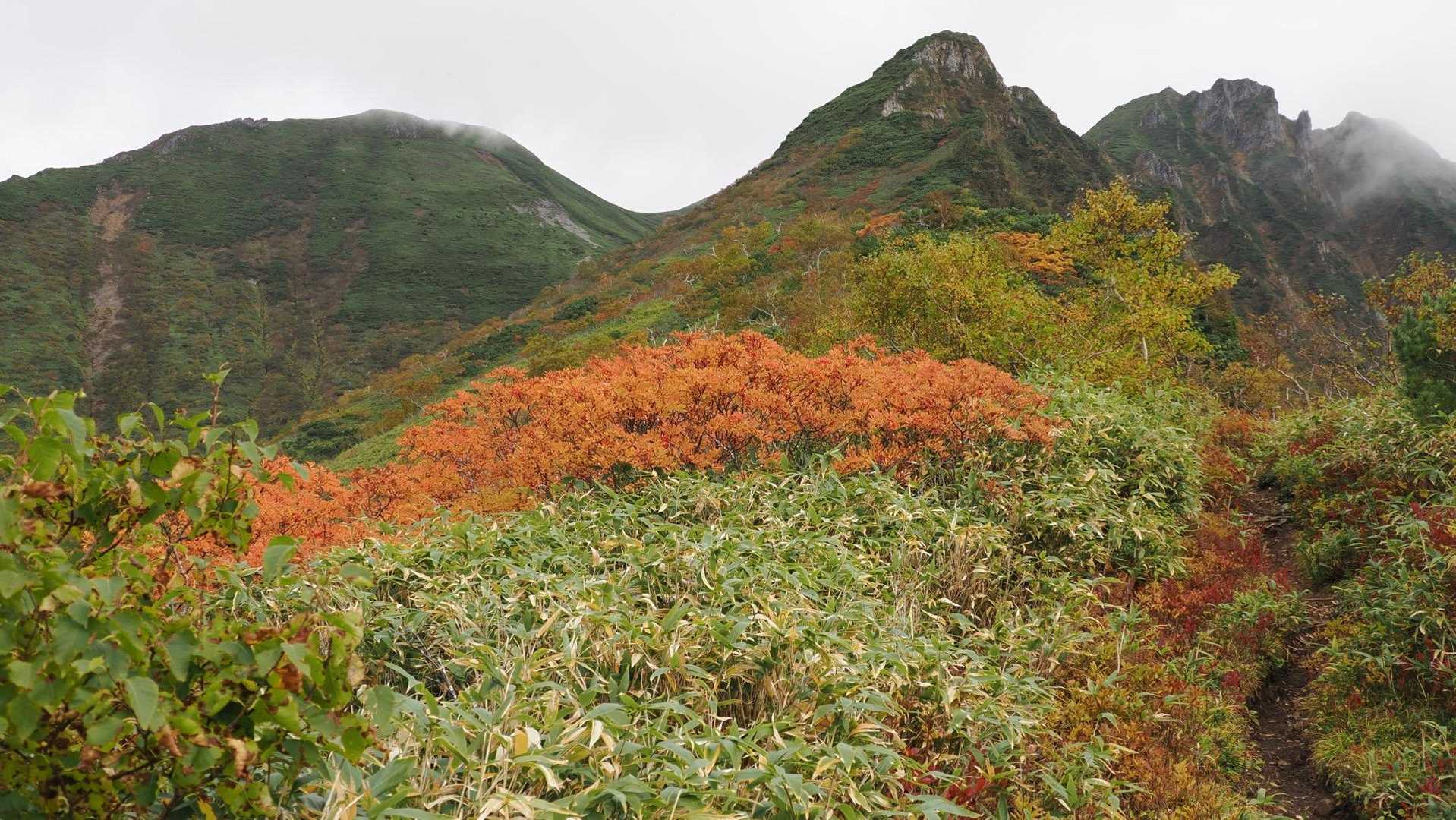 ニセイカウシュッペ山往復 | 切り立つ絶壁「大槍」を眺めながら細長い尾根を辿るの写真