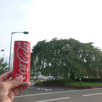 今日のハイキング終了
コーラが美味い😋