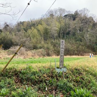 ここは休耕田だったそうです